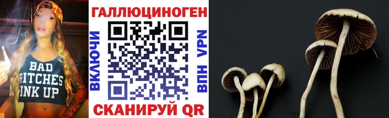 Псилоцибиновые грибы мухоморы  MEGA ссылки  Власиха 
